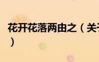 花开花落两由之（关于花开花落两由之的简介）