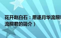 花开赵白石：愿逐月华流照君（关于花开赵白石：愿逐月华流照君的简介）