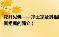 花开见佛——净土宗及其祖庭（关于花开见佛——净土宗及其祖庭的简介）