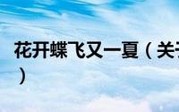 花开蝶飞又一夏（关于花开蝶飞又一夏的简介）