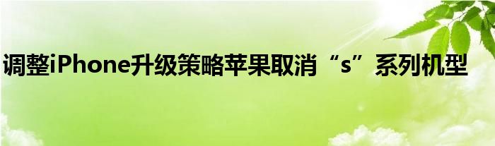 调整iPhone升级策略苹果取消“s”系列机型