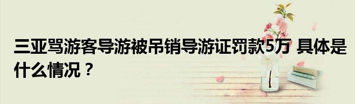 三亚骂游客导游被吊销导游证罚款5万 具体是什么情况？