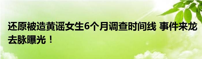 还原被造黄谣女生6个月调查时间线 事件来龙去脉曝光！