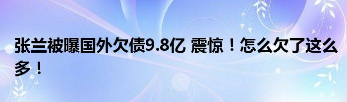 张兰被曝国外欠债9.8亿 震惊！怎么欠了这么多！