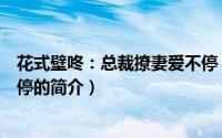 花式壁咚：总裁撩妻爱不停（关于花式壁咚：总裁撩妻爱不停的简介）