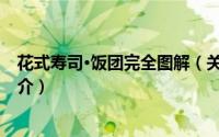花式寿司·饭团完全图解（关于花式寿司·饭团完全图解的简介）