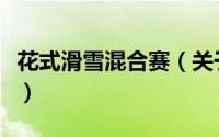 花式滑雪混合赛（关于花式滑雪混合赛的简介）