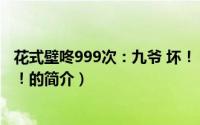 花式壁咚999次：九爷 坏！（关于花式壁咚999次：九爷 坏！的简介）