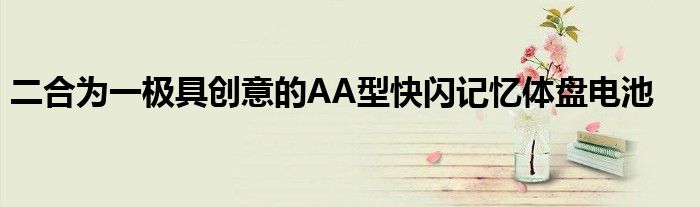 二合为一极具创意的AA型快闪记忆体盘电池