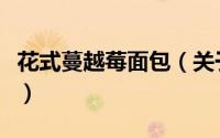 花式蔓越莓面包（关于花式蔓越莓面包的简介）
