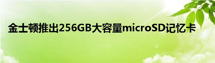 金士顿推出256GB大容量microSD记忆卡