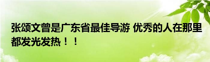 张颂文曾是广东省最佳导游 优秀的人在那里都发光发热！！