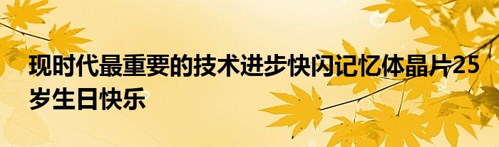 现时代最重要的技术进步快闪记忆体晶片25岁生日快乐