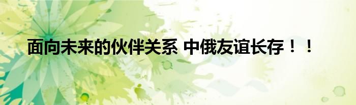 面向未来的伙伴关系 中俄友谊长存！！