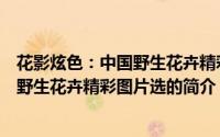 花影炫色：中国野生花卉精彩图片选（关于花影炫色：中国野生花卉精彩图片选的简介）