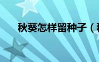 秋葵怎样留种子（秋葵留种子的方法）