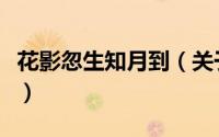 花影忽生知月到（关于花影忽生知月到的简介）