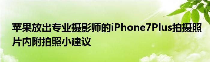 苹果放出专业摄影师的iPhone7Plus拍摄照片内附拍照小建议