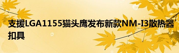 支援LGA1155猫头鹰发布新款NM