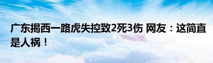 广东揭西一路虎失控致2死3伤 网友：这简直是人祸！