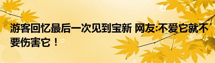 游客回忆最后一次见到宝新 网友:不爱它就不要伤害它！