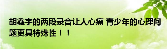 胡鑫宇的两段录音让人心痛 青少年的心理问题更具特殊性！！