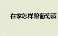 在家怎样酿葡萄酒（自酿葡萄酒步骤）