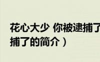 花心大少 你被逮捕了（关于花心大少 你被逮捕了的简介）