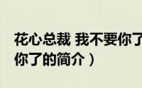 花心总裁 我不要你了（关于花心总裁 我不要你了的简介）