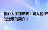 花心大少别惹我：剩女的逆袭（关于花心大少别惹我：剩女的逆袭的简介）