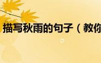 描写秋雨的句子（教你几句关于秋雨的句子）
