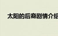 太阳的后裔剧情介绍（讲的是什么故事）