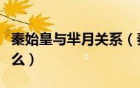 秦始皇与芈月关系（秦始皇与芈月的关系是什么）