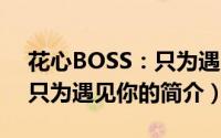 花心BOSS：只为遇见你（关于花心BOSS：只为遇见你的简介）
