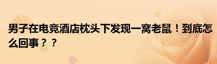 男子在电竞酒店枕头下发现一窝老鼠！到底怎么回事？？