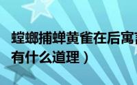 螳螂捕蝉黄雀在后寓言故（螳螂捕蝉黄雀在后有什么道理）