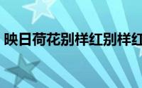 映日荷花别样红别样红的解释（含义是什么）
