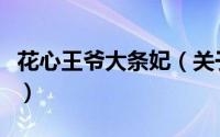 花心王爷大条妃（关于花心王爷大条妃的简介）