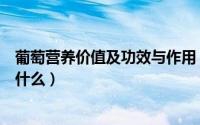 葡萄营养价值及功效与作用（葡萄营养价值及功效与作用是什么）