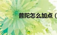 普陀怎么加点（普陀加点推荐）
