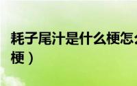 耗子尾汁是什么梗怎么回复（耗子尾汁是什么梗）