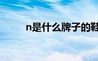 n是什么牌子的鞋（n字鞋的简介）