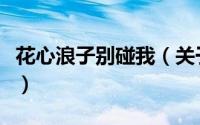 花心浪子别碰我（关于花心浪子别碰我的简介）