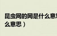 昆虫网的网是什么意思（昆虫网的网具体是什么意思）