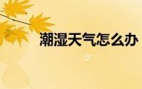 潮湿天气怎么办（如何缓解潮湿）