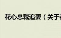 花心总裁追妻（关于花心总裁追妻的简介）