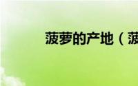菠萝的产地（菠萝的产地介绍）