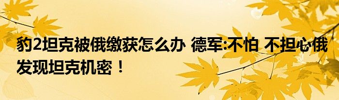 豹2坦克被俄缴获怎么办 德军:不怕 不担心俄发现坦克机密！