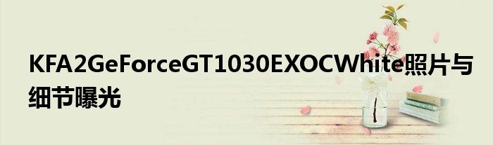 KFA2GeForceGT1030EXOCWhite照片与细节曝光