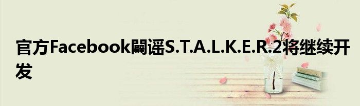 官方Facebook闢谣S.T.A.L.K.E.R.2将继续开发